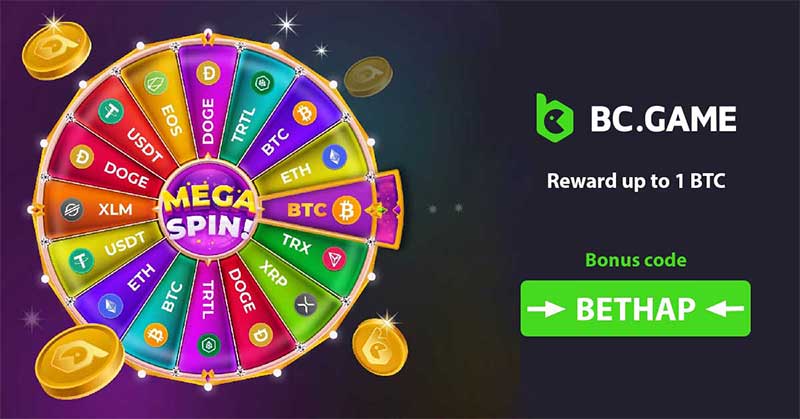 Discover the Excitement of BC Fun 2